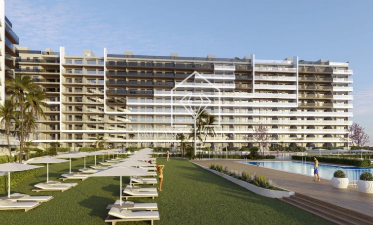 Nowa konstrukcja - Apartament - Torrevieja