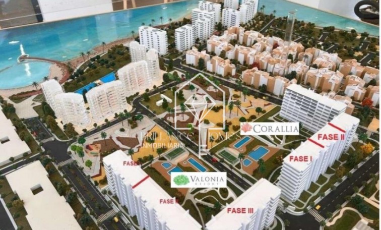 Nowa konstrukcja - Apartament - Torrevieja