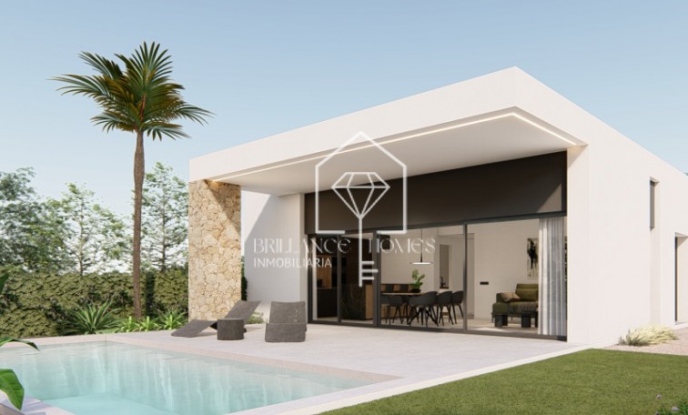 Obra nueva - Villa - Molina de Segura