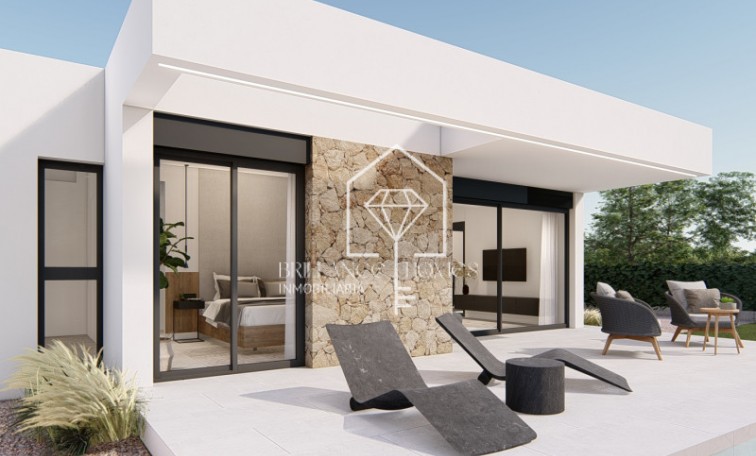 Obra nueva - Villa - Molina de Segura