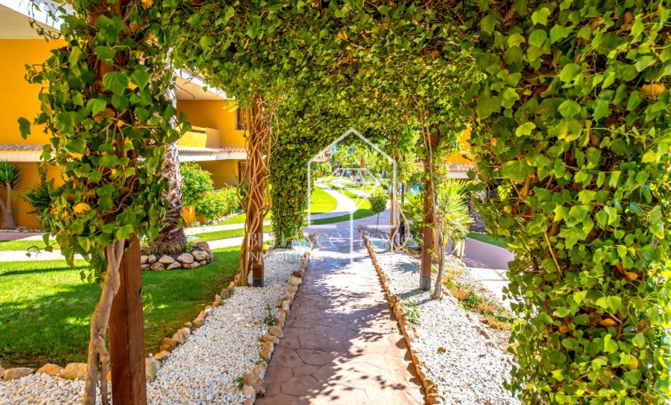 Sale - Apartment - Torrevieja - Punta Prima