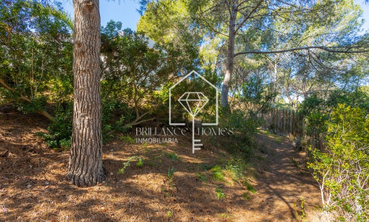 Revente - Villa - Orihuela - Orihuela Costa