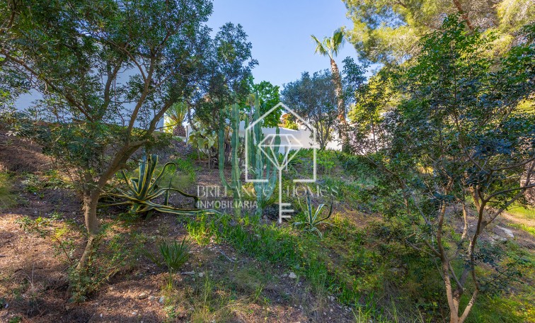 Revente - Villa - Orihuela - Orihuela Costa