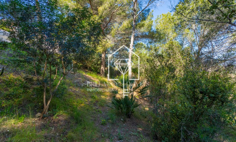 Revente - Villa - Orihuela - Orihuela Costa