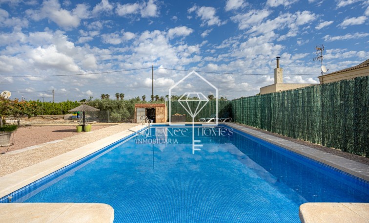Sale - Detached villa - Elche - La Hoya