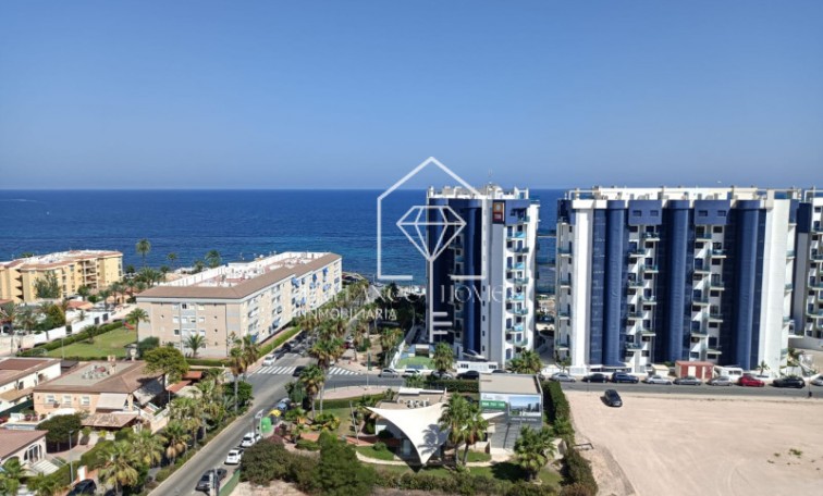 Nouvelle construction - Apartment - Torrevieja