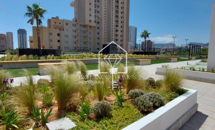 New Build - Penthouses - Calpe