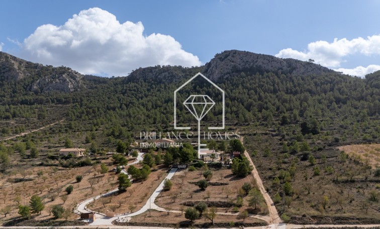 Revente - Detached villa - La Zarza