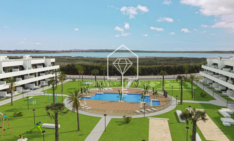 Nouvelle construction - Apartment - Guardamar del Segura