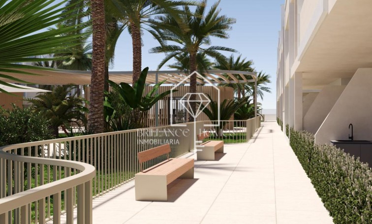 Obra nueva - Apartment - Torre-Pacheco