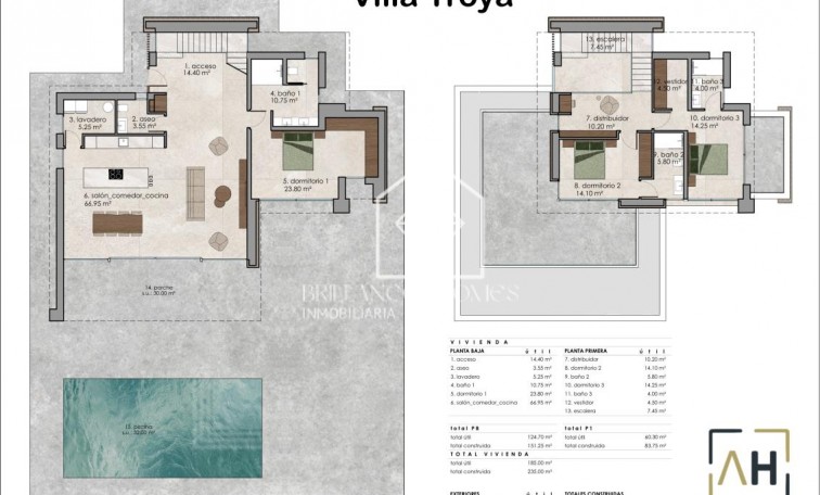 Nouvelle construction - Villa - Aspe