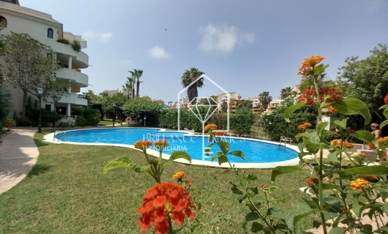 Sale - Penthouse - Punta Prima