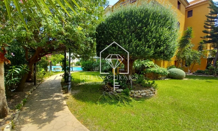 Sale - Penthouse - Punta Prima