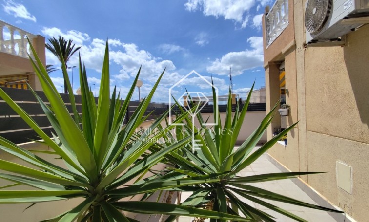 Resale - Wohnung - Torrevieja