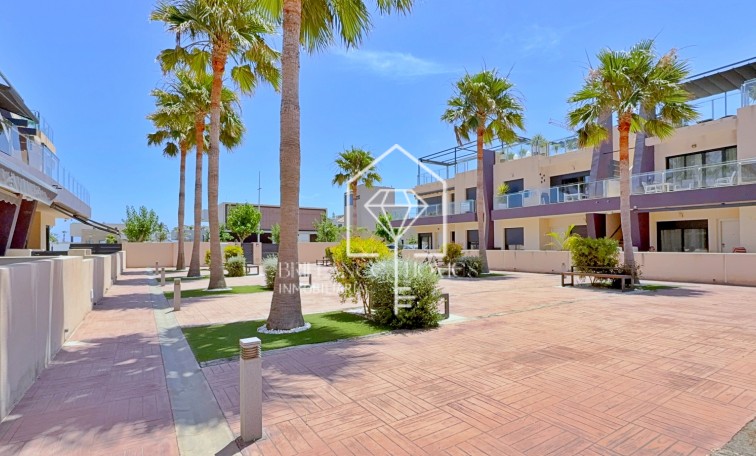 Revente - Penthouse - Pilar de la Horadada - Torre de la Horadada