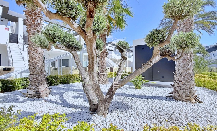 Revente - Penthouse - Orihuela Costa - Punta Prima