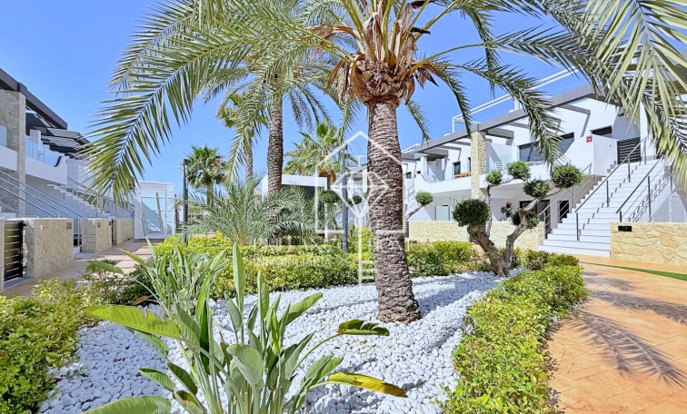 Revente - Penthouse - Orihuela Costa - Punta Prima