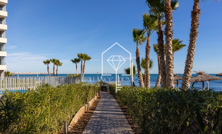 Revente - Appartement / flat - Torrevieja - Punta Prima