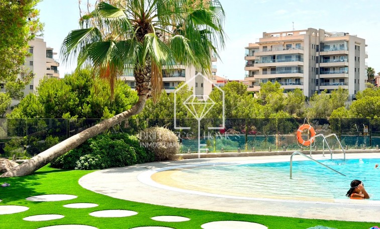 Segunda mano - Apartamento / piso - Orihuela Costa - La Zenia