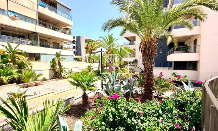 Segunda mano - Apartamento / piso - Orihuela Costa - La Zenia