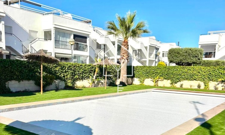 Sale - Apartment / flat - Torrevieja - Aguas Nuevas