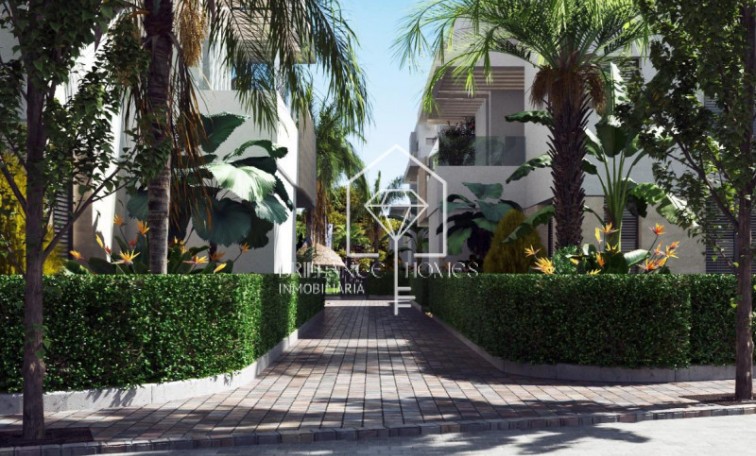 Nouvelle construction - Appartement / flat - Torre-Pacheco