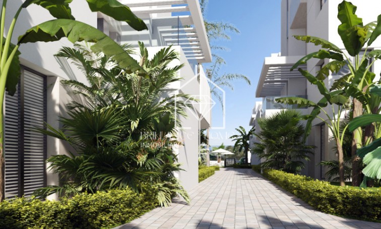 Nouvelle construction - Appartement / flat - Torre-Pacheco