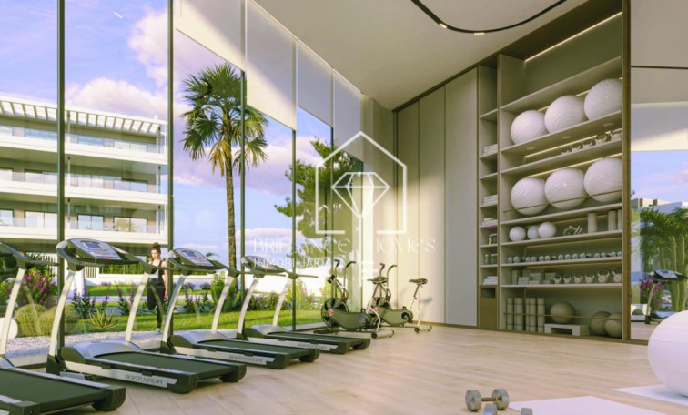 Obra nueva - Apartamento / piso - Torrevieja