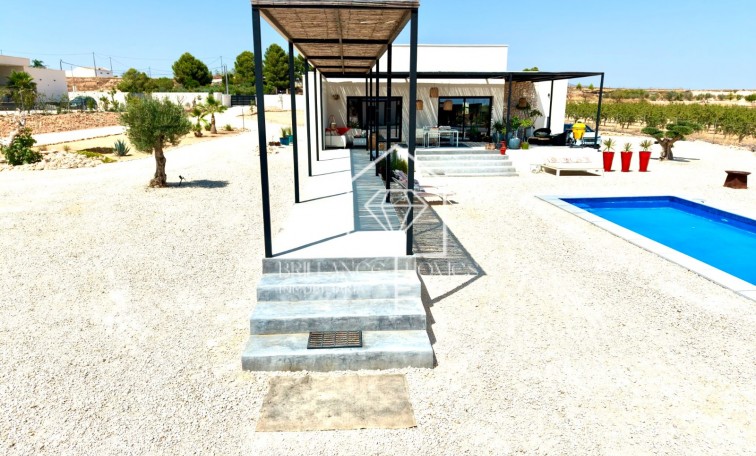 Sale - Detached villa - Pinoso