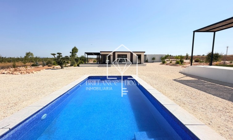 Sale - Detached villa - Pinoso