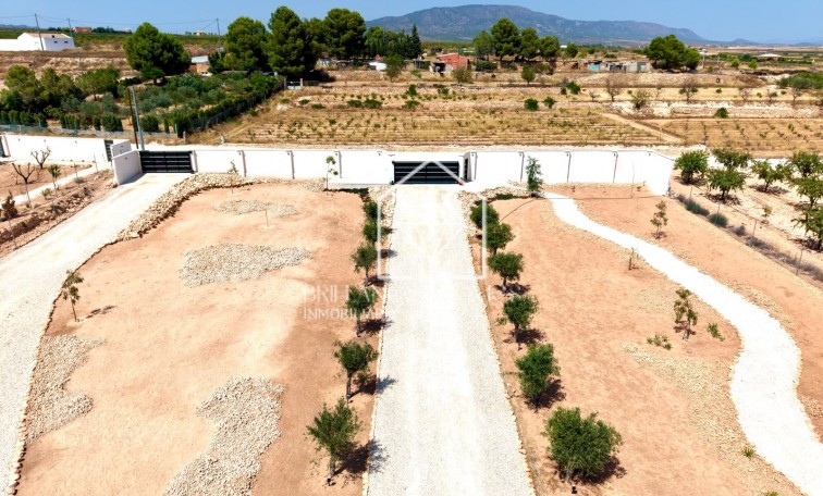 Sale - Detached villa - Pinoso