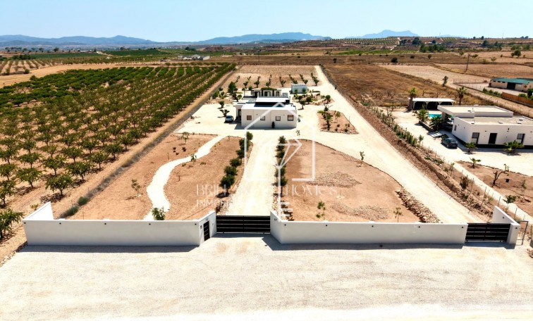 Sale - Detached villa - Pinoso