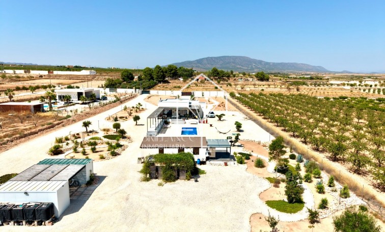 Sale - Detached villa - Pinoso