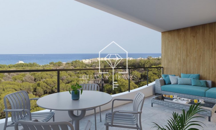 Obra nueva - Apartamento / piso - Guardamar del Segura