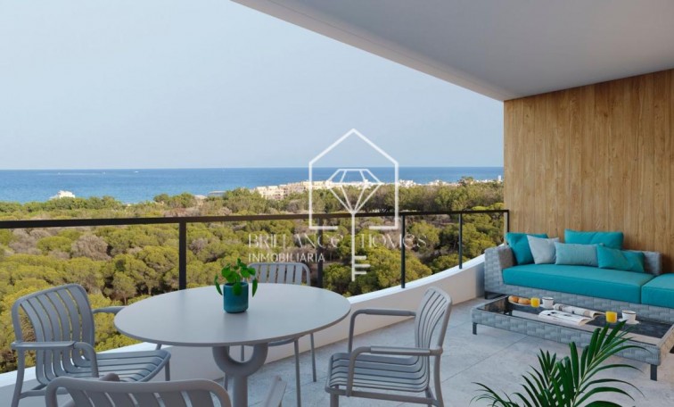 Obra nueva - Apartamento / piso - Guardamar del Segura