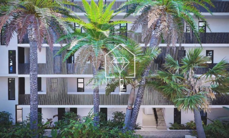 Obra nueva - Apartamento / piso - Cartagena