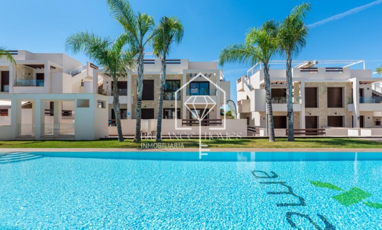 New Build - Wohnung - Torrevieja