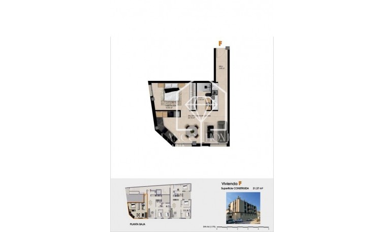Obra nueva - Apartamento / piso - Catral