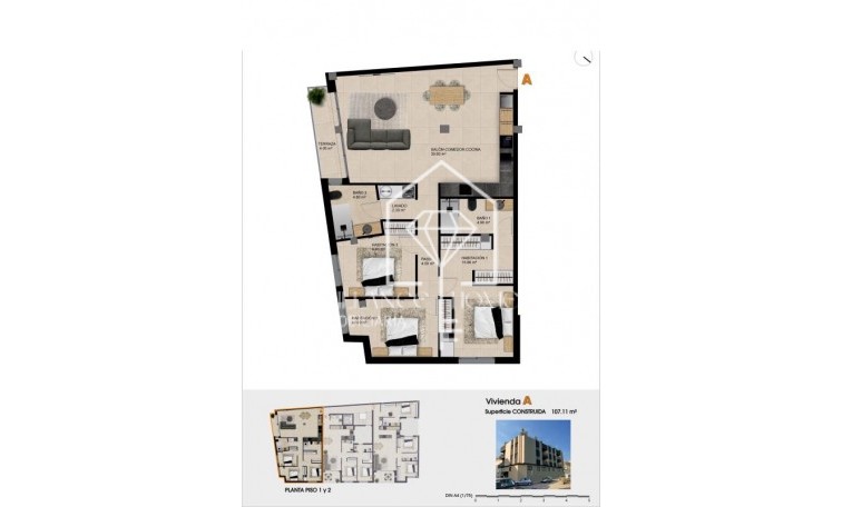 Obra nueva - Apartamento / piso - Catral