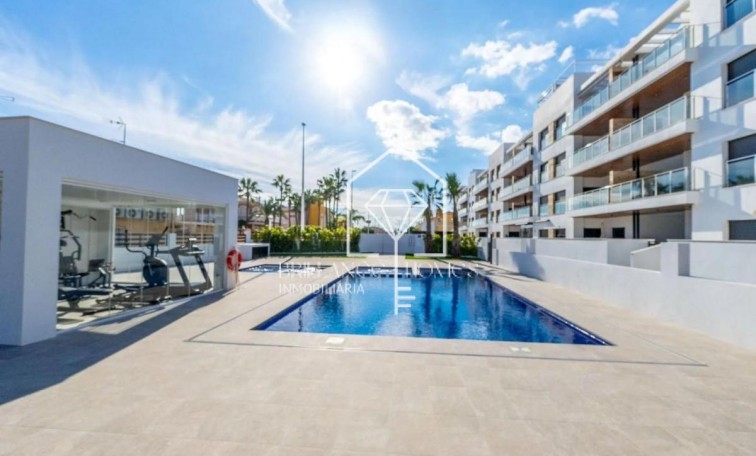 Obra nueva - Apartamento / piso - Torrevieja