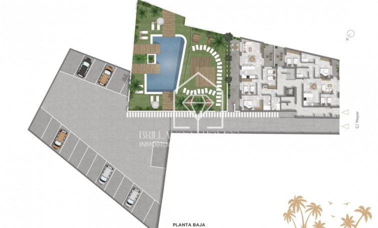 Nowa konstrukcja - Apartment/mieszkanie - Guardamar del Segura