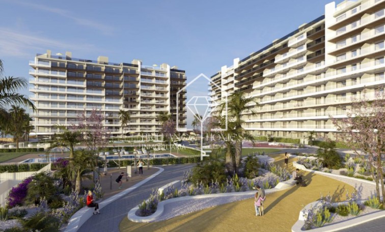 Obra nueva - Apartamento / piso - Torrevieja