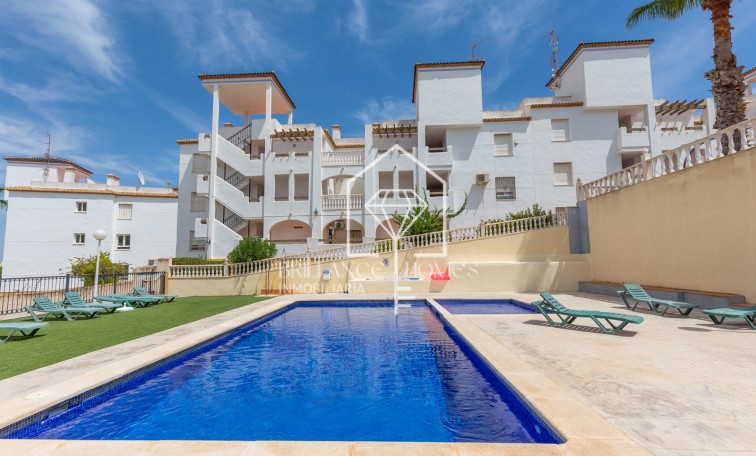 Sale - Apartment / flat - Orihuela - Villamartin