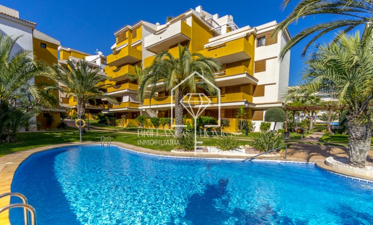 Sprzedaż - Apartment/mieszkanie - Torrevieja - Punta Prima