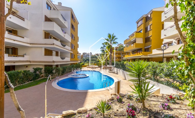Sprzedaż - Apartment/mieszkanie - Torrevieja - Punta Prima