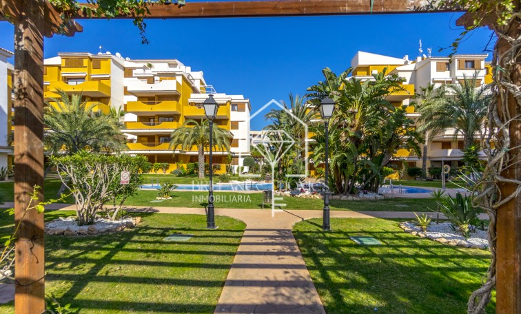 Sprzedaż - Apartment/mieszkanie - Torrevieja - Punta Prima