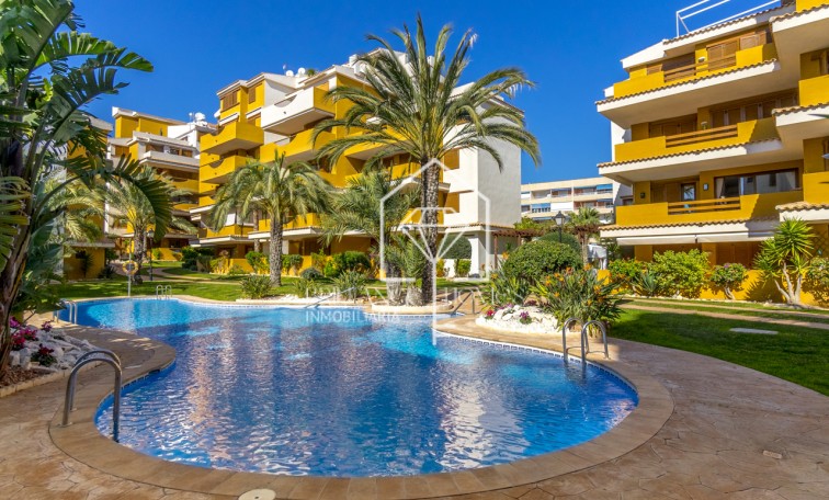 Sprzedaż - Apartment/mieszkanie - Torrevieja - Punta Prima