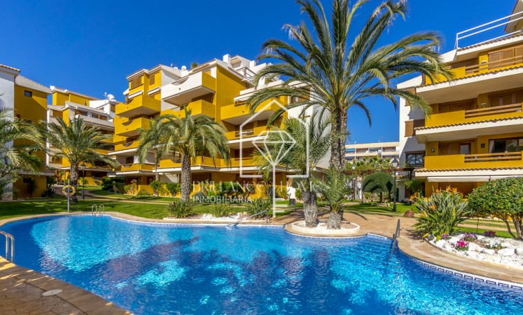 Sprzedaż - Apartment/mieszkanie - Torrevieja - Punta Prima