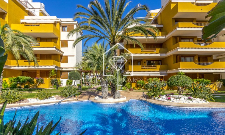 Sprzedaż - Apartment/mieszkanie - Torrevieja - Punta Prima