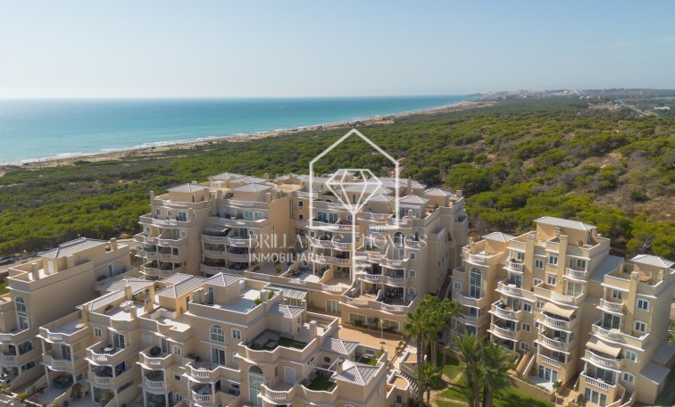 Revente - Appartement / flat - Guardamar del Segura
